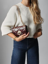 Cross Body Tas Nano Moon Leder Vanessa bruno Bruin moon 84V40326-vue-porte