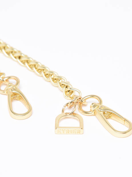 Schouderriem Etrier Goud accessoires EACCB70L ander zicht 2