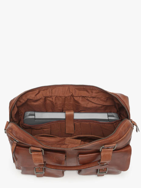 Documententas Basilic pepper Bruin traveler hillowca ander zicht 2